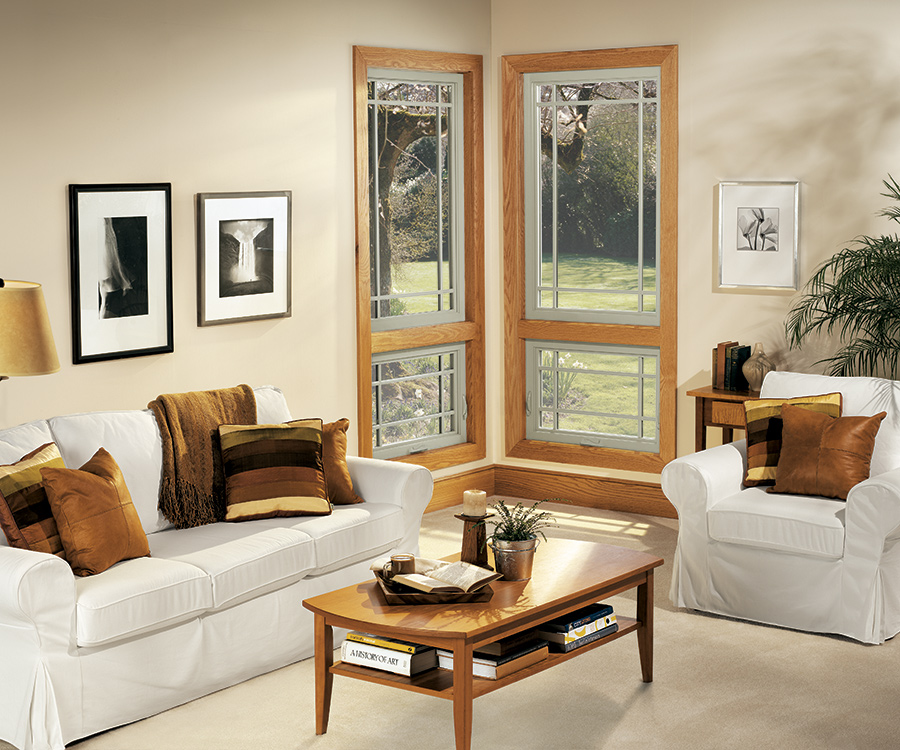 Awning on JELDWEN Windows at Menards